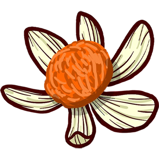 CHICAPUI